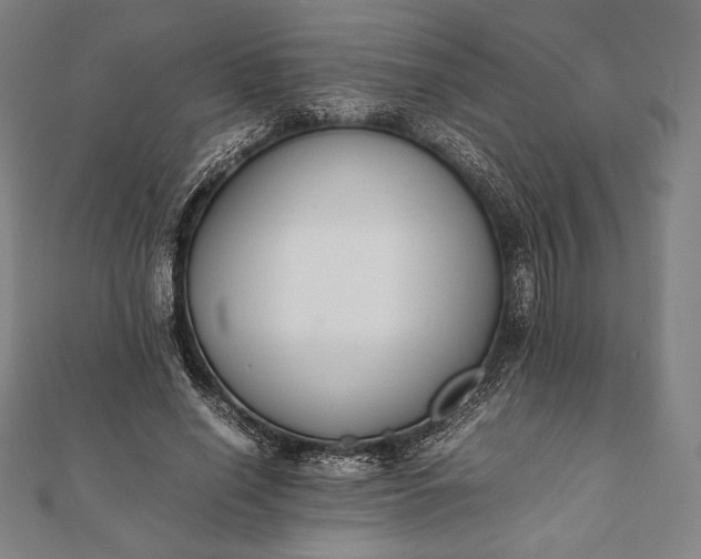 X0000112050638200908181137