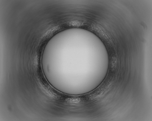 X0000112050639200908181137