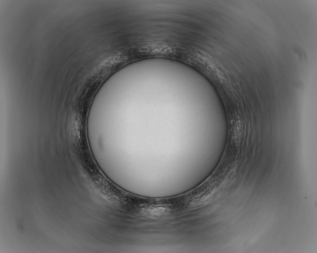 X0000112050643200908181137