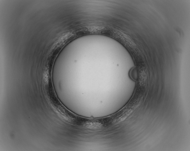 X0000112050644200908181137