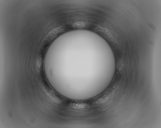 X0000112050645200908181137