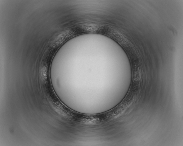 X0000112050646200908181137