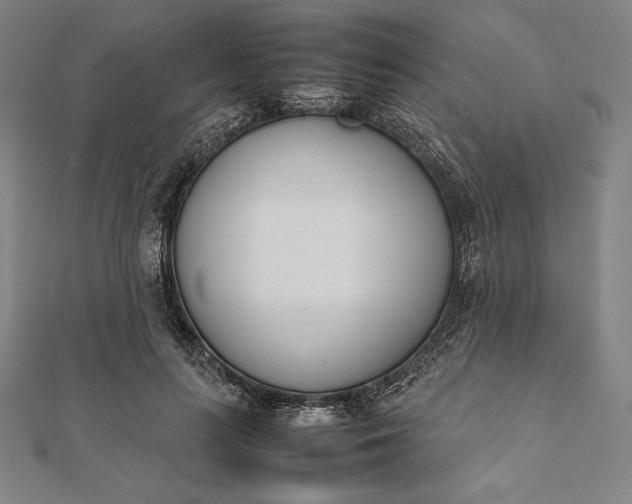 X0000112050647200908181137