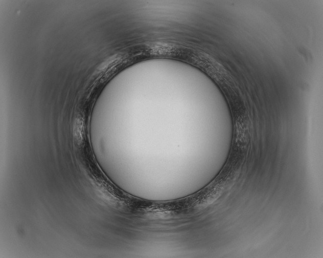 X0000112050648200908181137