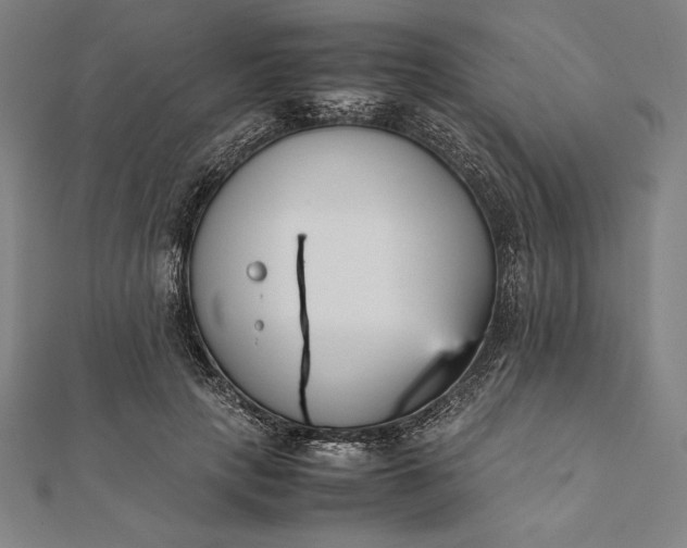 X0000112050649200908181137