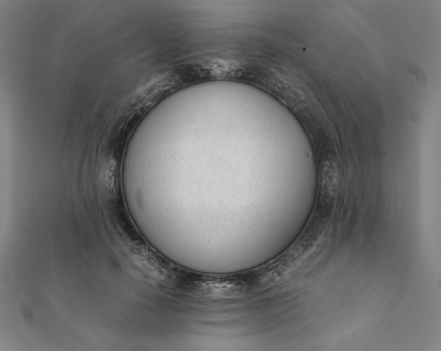 X0000112050650200908181137