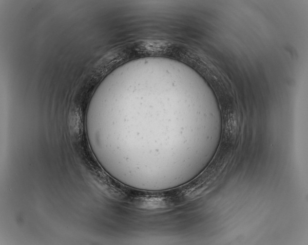 X0000112050651200908181137