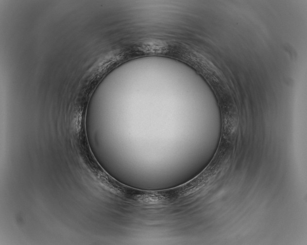 X0000112050652200908181137