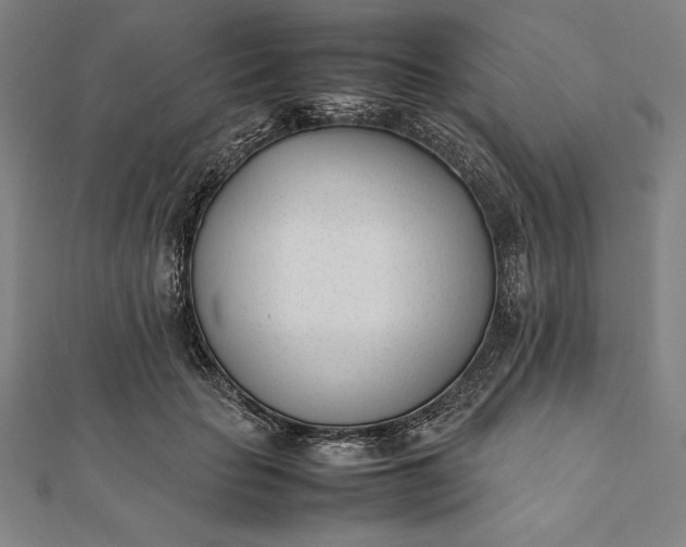 X0000112050653200908181137