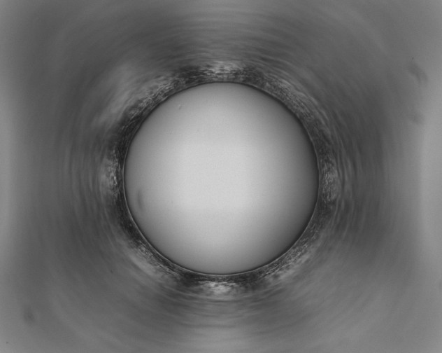 X0000112050654200908181137