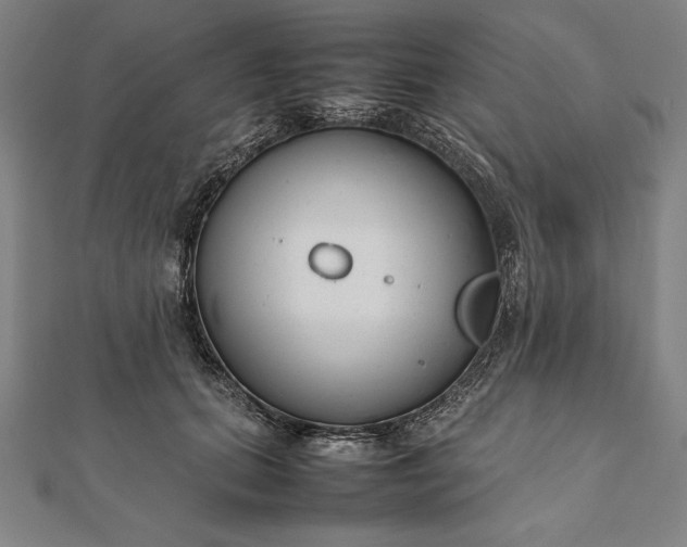 X0000112050655200908181137