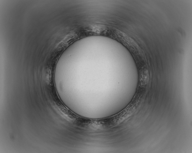 X0000112050656200908181137