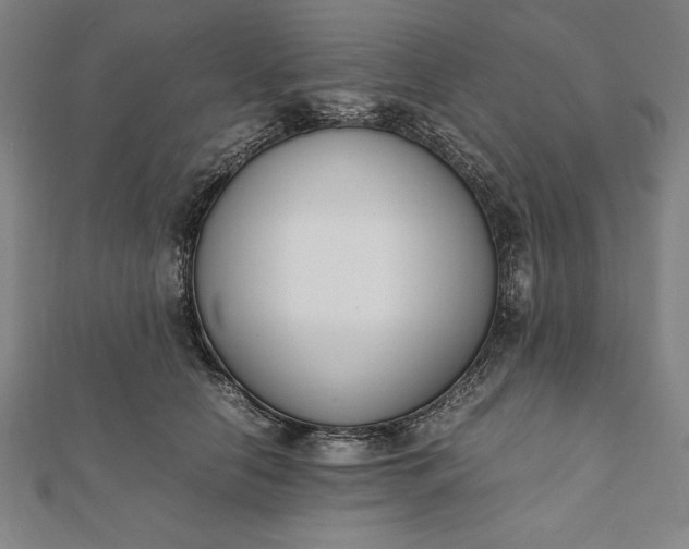 X0000112050658200908181137