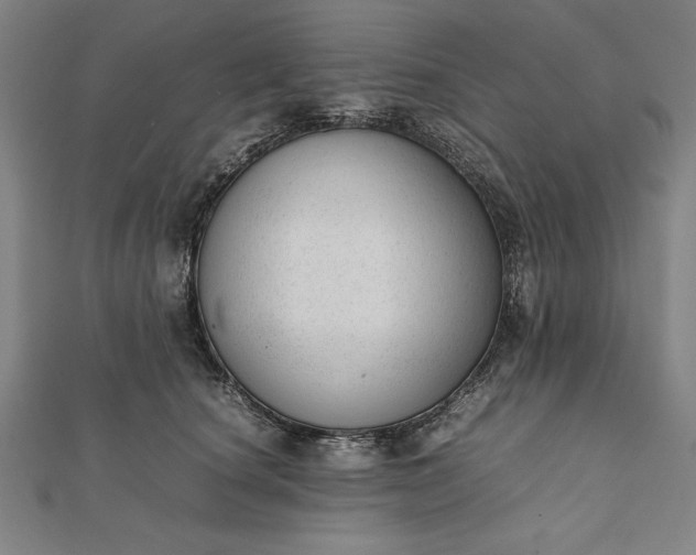 X0000112050660200908181137