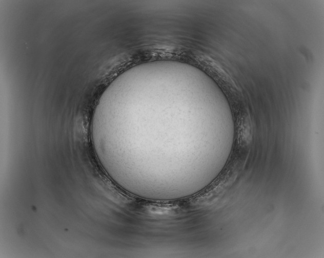 X0000112050661200908181137