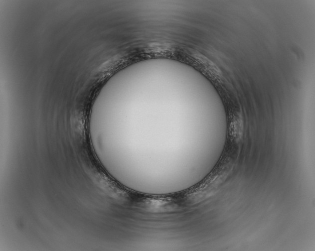 X0000112050662200908181137