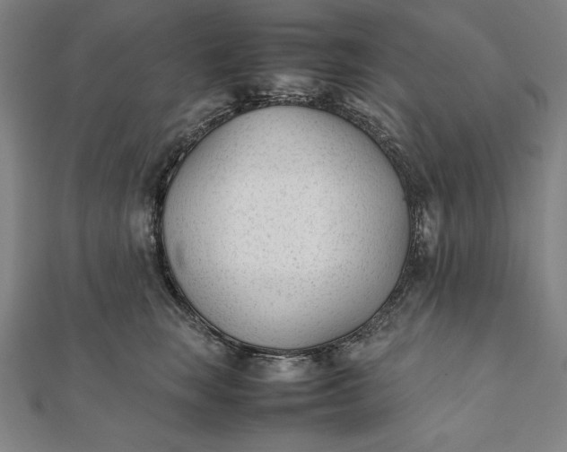 X0000112050663200908181138