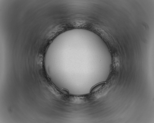 X0000112050664200908181138