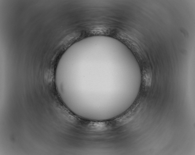 X0000112050665200908181138