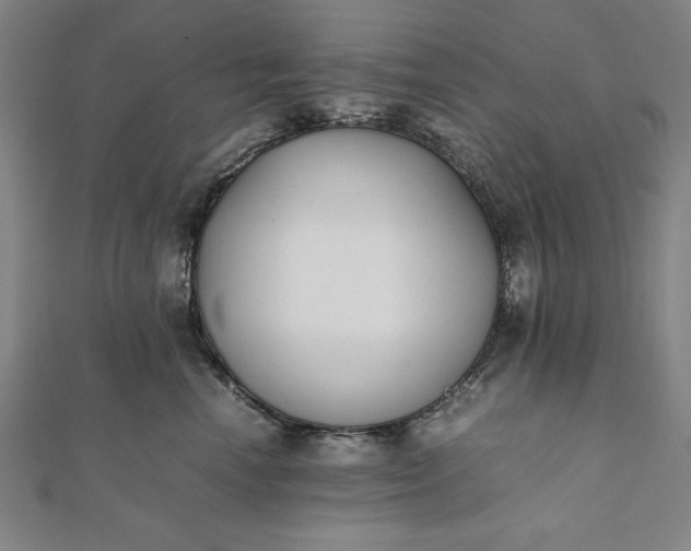 X0000112050666200908181138