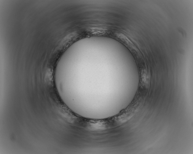 X0000112050667200908181138