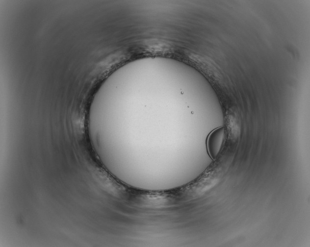 X0000112050668200908181138