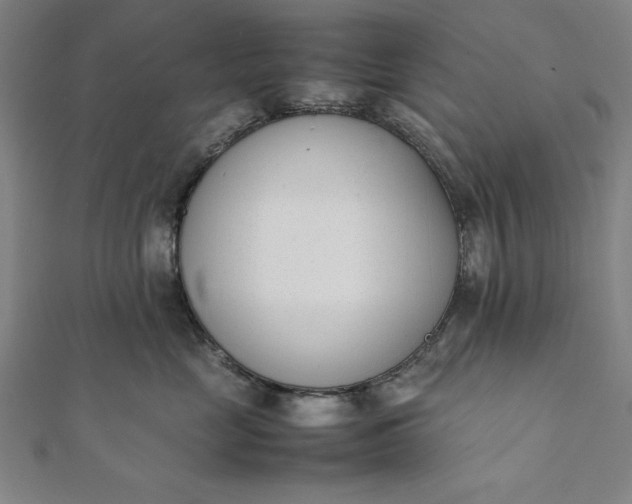 X0000112050669200908181138