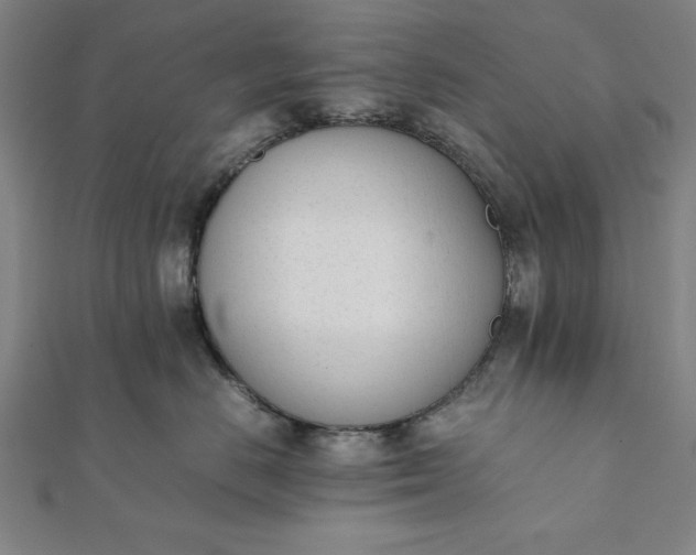 X0000112050670200908181138