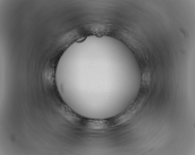 X0000112050671200908181138