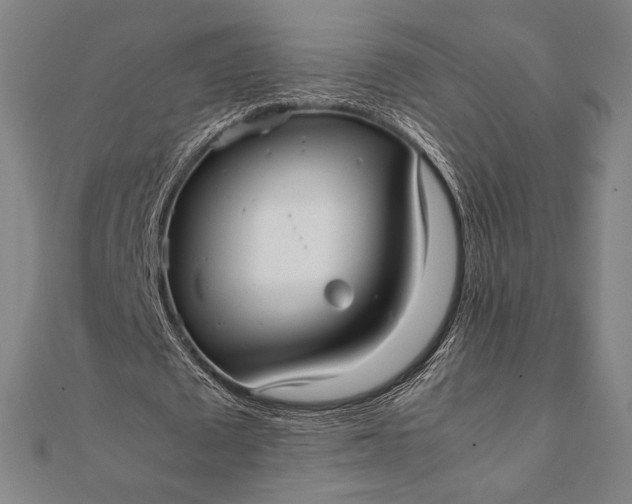 X0000112050673200908181137