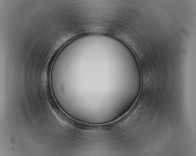 X0000112050674200908181137