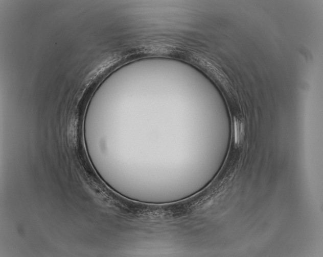 X0000112050675200908181137