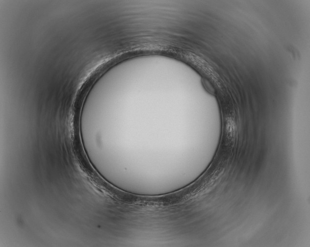 X0000112050676200908181137