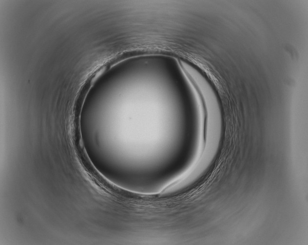 X0000112050677200908181137