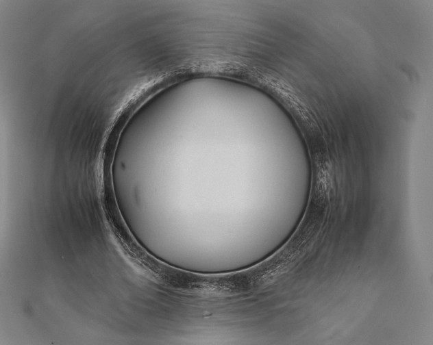 X0000112050678200908181137