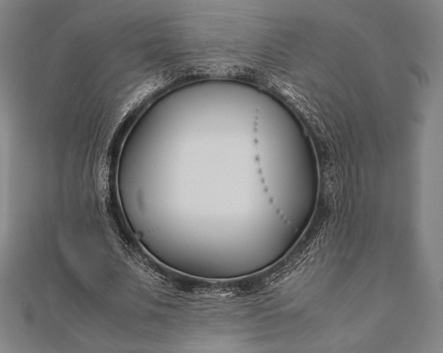 X0000112050679200908181137