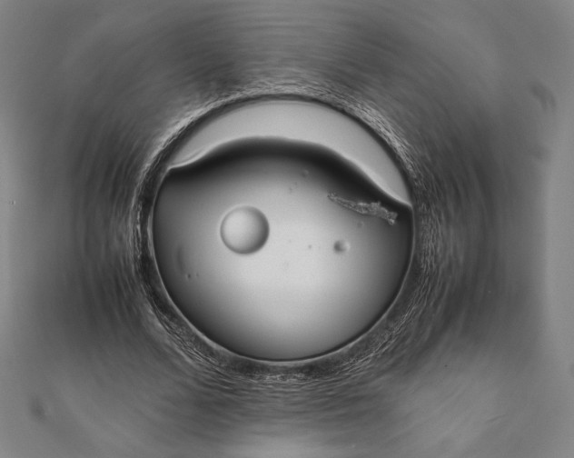 X0000112050680200908181137