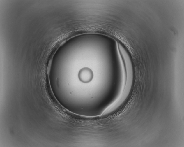 X0000112050681200908181137