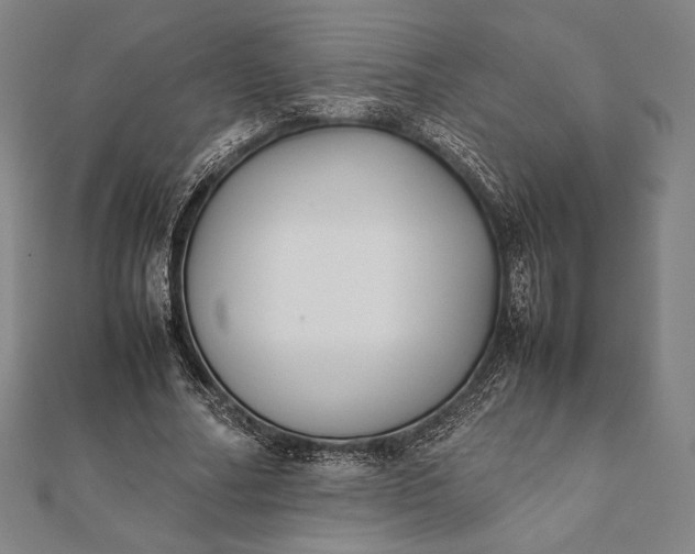 X0000112050682200908181137