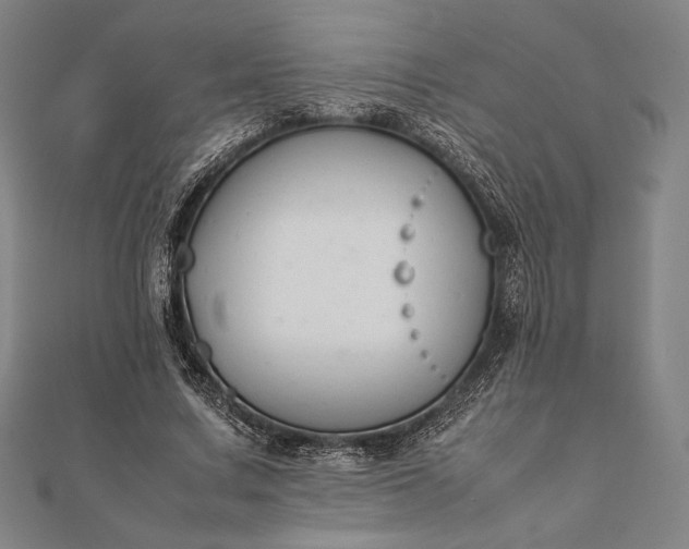 X0000112050683200908181137