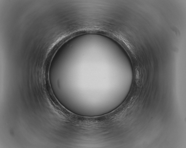 X0000112050684200908181137