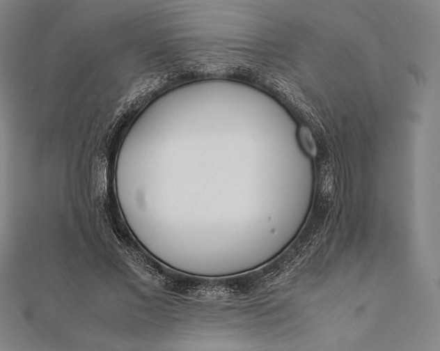 X0000112050685200908181137