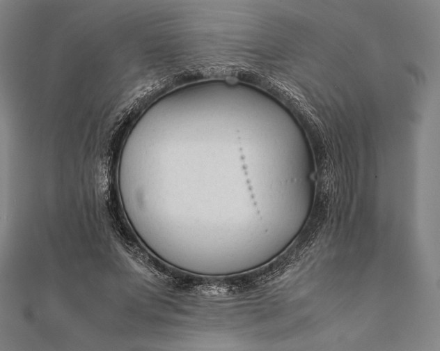 X0000112050687200908181137