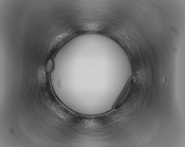 X0000112050688200908181137