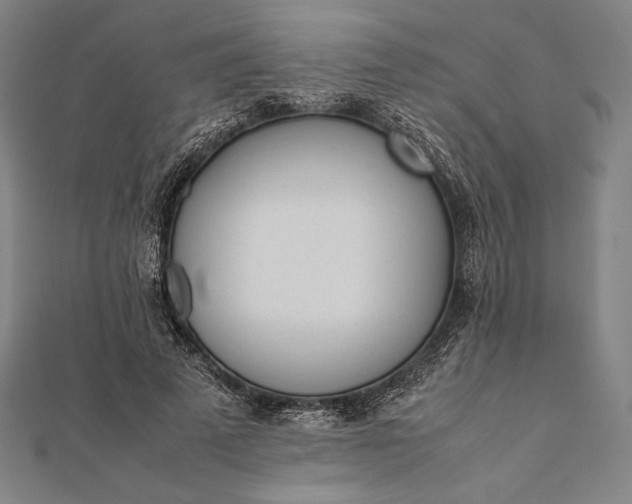 X0000112050689200908181137