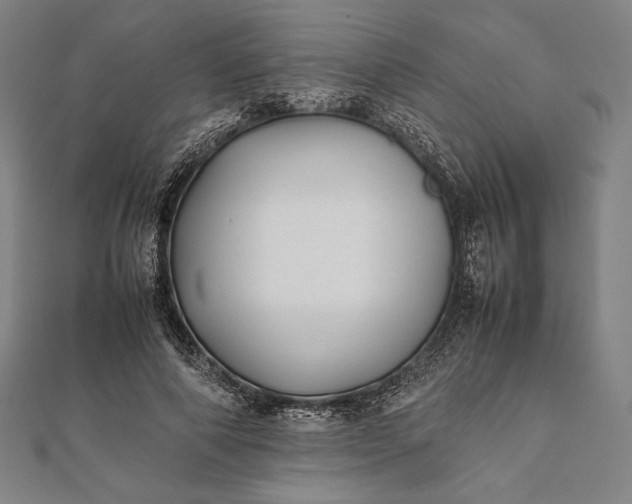 X0000112050690200908181137