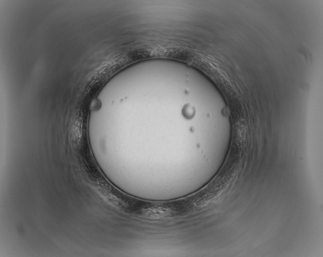 X0000112050691200908181137