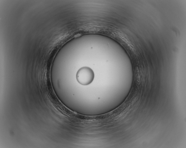 X0000112050692200908181137