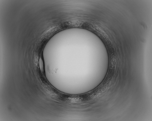 X0000112050693200908181137