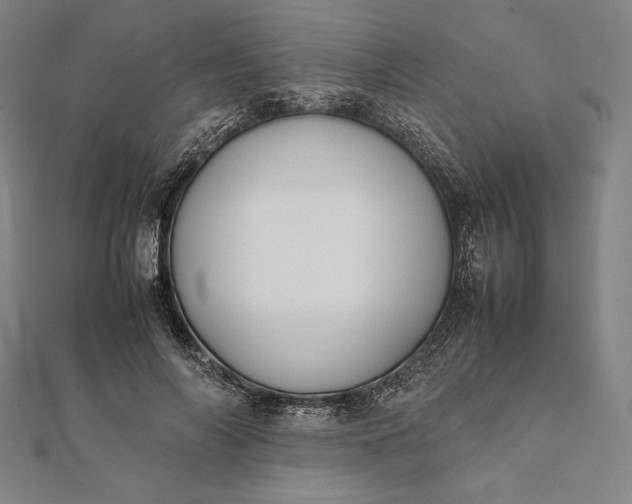 X0000112050694200908181137